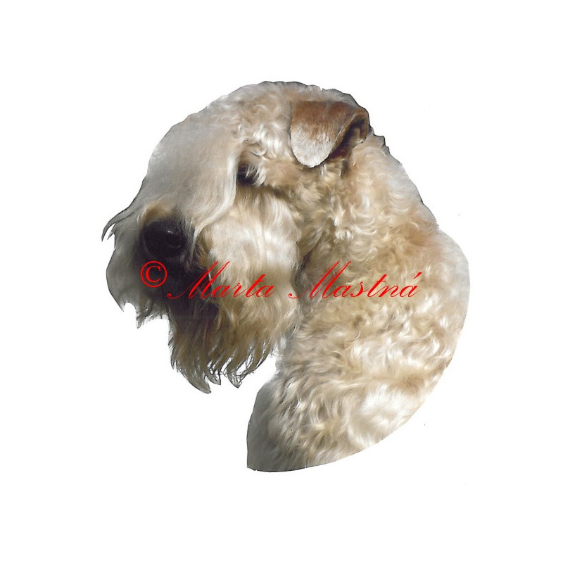 Samolepka pšeničný teriér, soft coated wheaten teriér archiv