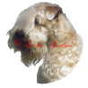 Samolepka pšeničný teriér, soft coated wheaten teriér archiv
