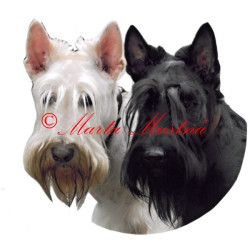 Samolepka skotský teriér archiv