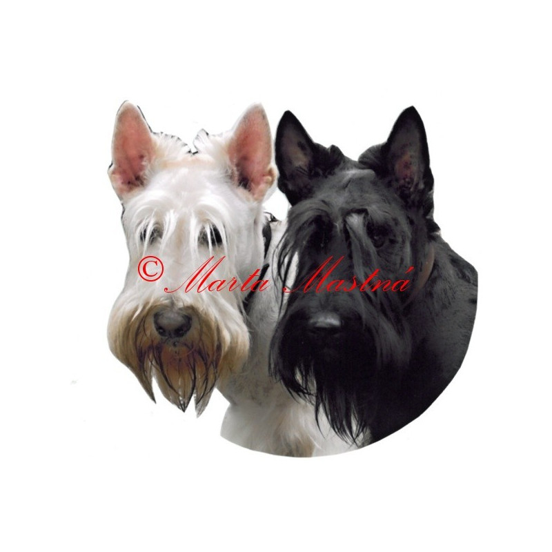 Samolepka skotský teriér archiv