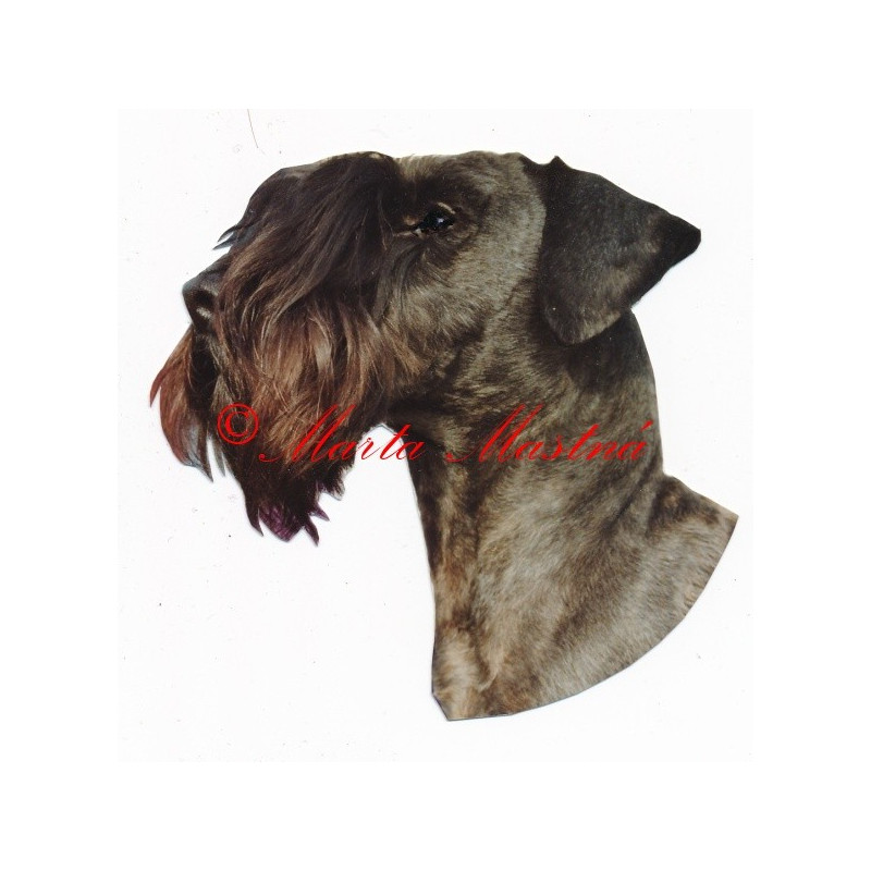 Samolepka český teriér archiv