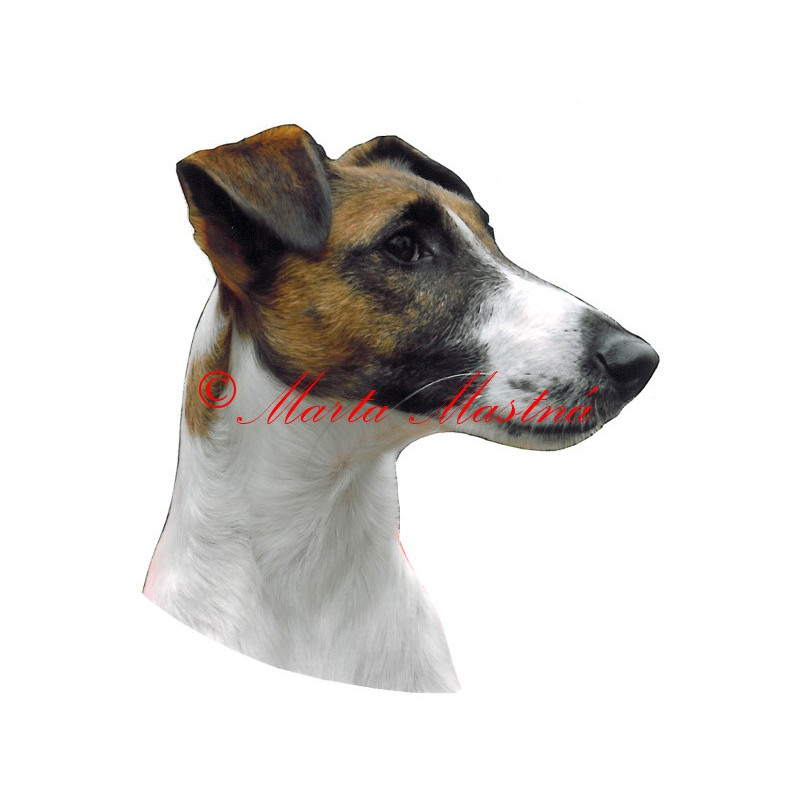 Samolepka foxteriér hladkosrstý archiv