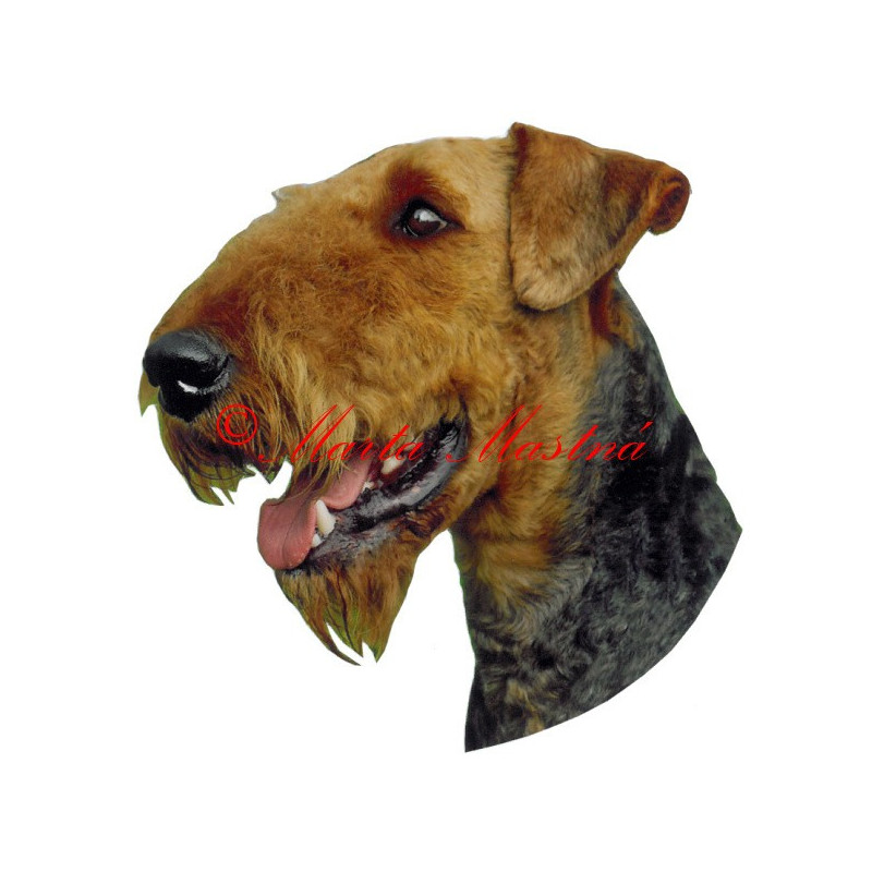 Samolepka erdelteriér archiv