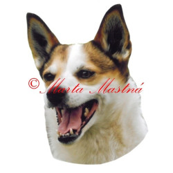 Samolepka norský lundehund archiv