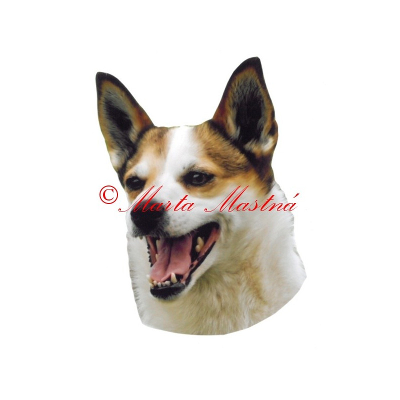 Samolepka norský lundehund archiv