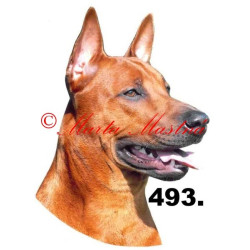 Samolepka thajský ridgeback archiv