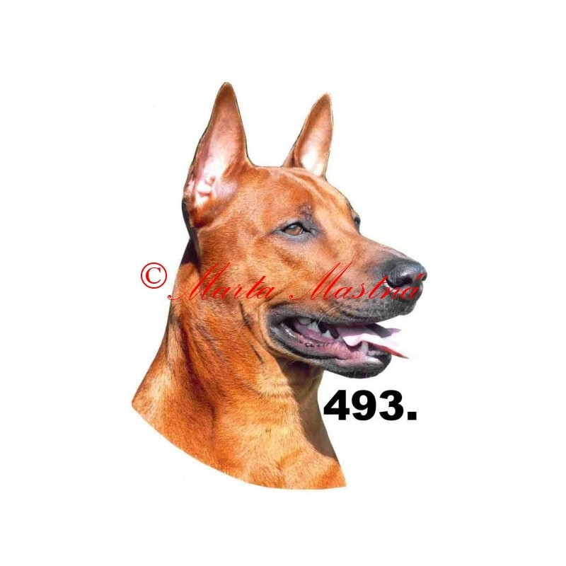 Samolepka thajský ridgeback archiv