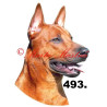 Samolepka thajský ridgeback archiv