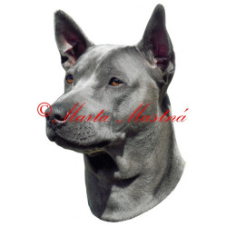 Samolepka thajský ridgeback archiv