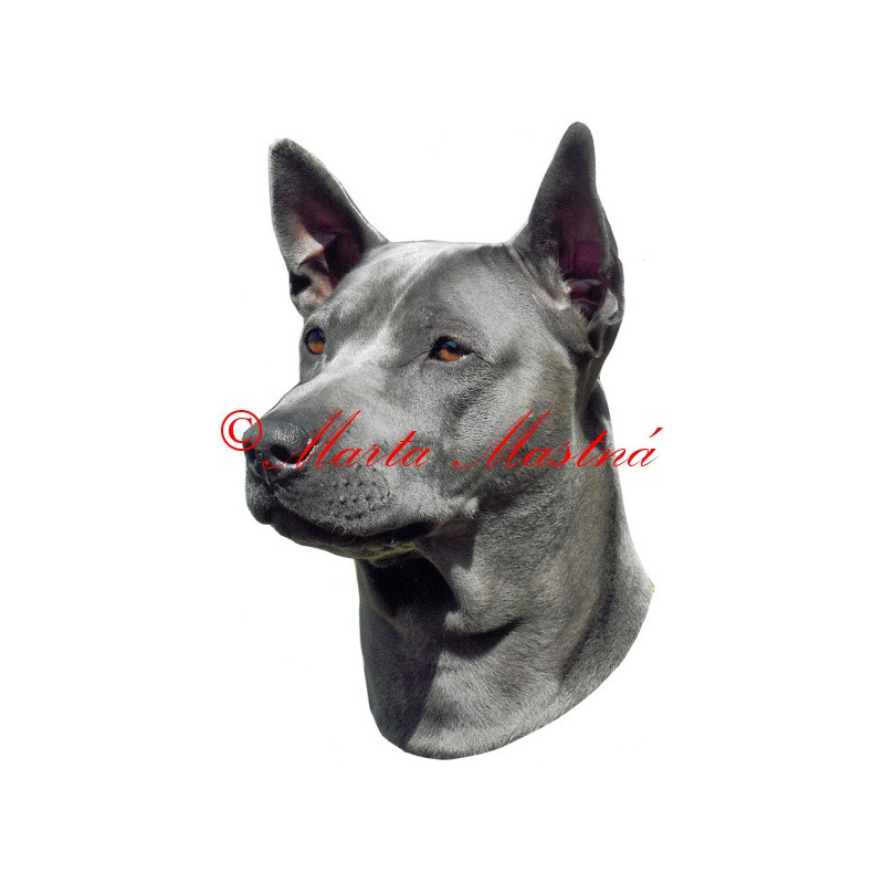 Samolepka thajský ridgeback archiv