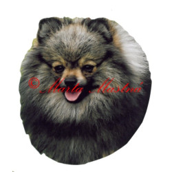 Samolepka špic archiv