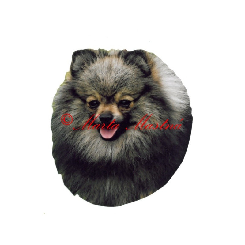 Samolepka špic archiv