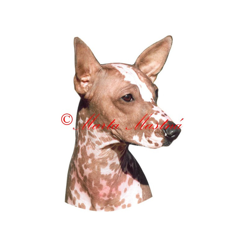 Samolepka peruánský naháč archiv