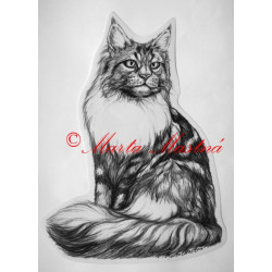 Kočka mainská mývalí