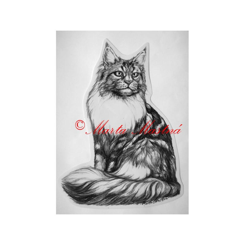 Kočka mainská mývalí