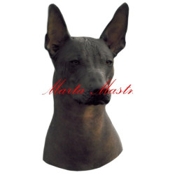 Samolepka mexický naháč archiv