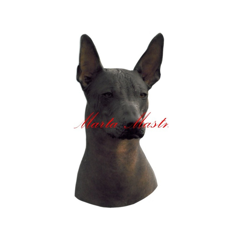 Samolepka mexický naháč archiv