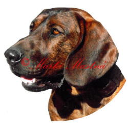 Samolepka barvář hannoverský archiv