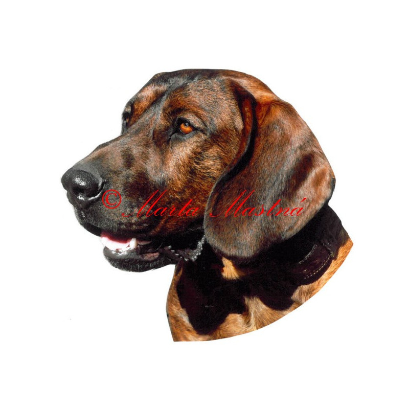 Samolepka barvář hannoverský archiv