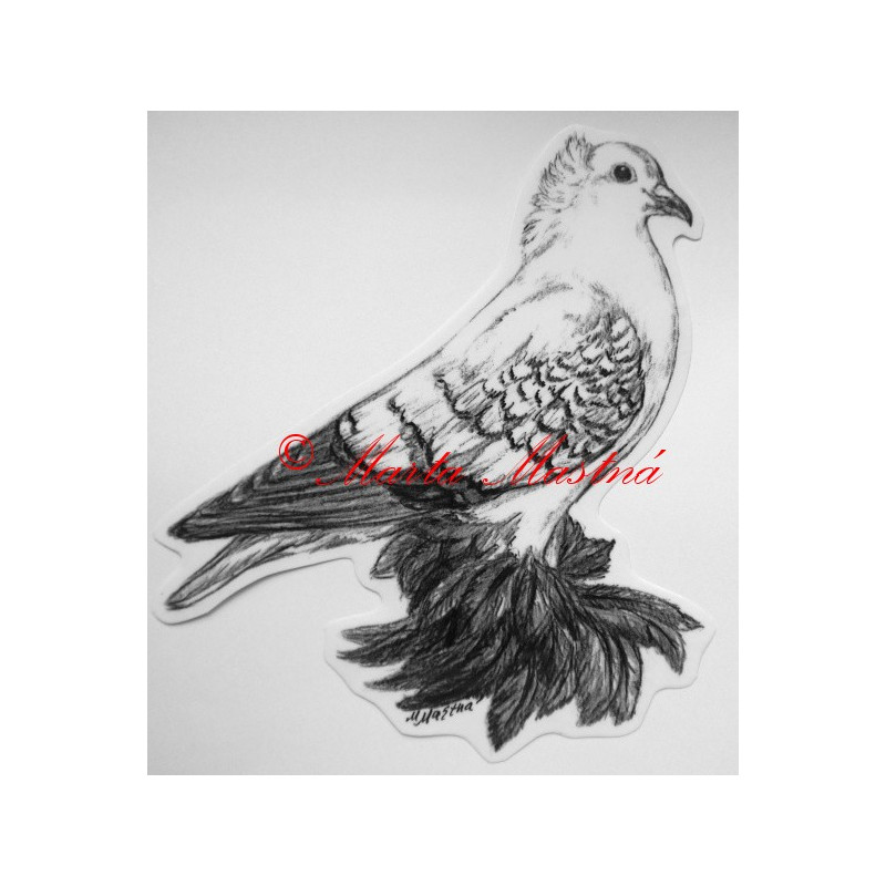 Holub česká čejka