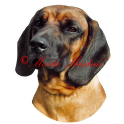 Samolepka barvář bavorský archiv