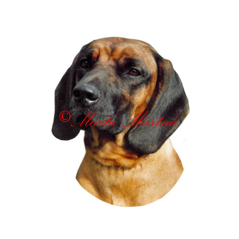 Samolepka barvář bavorský archiv