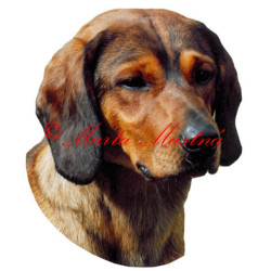 Samolepka braka, alpský jezevčíkovitý brakýř archiv