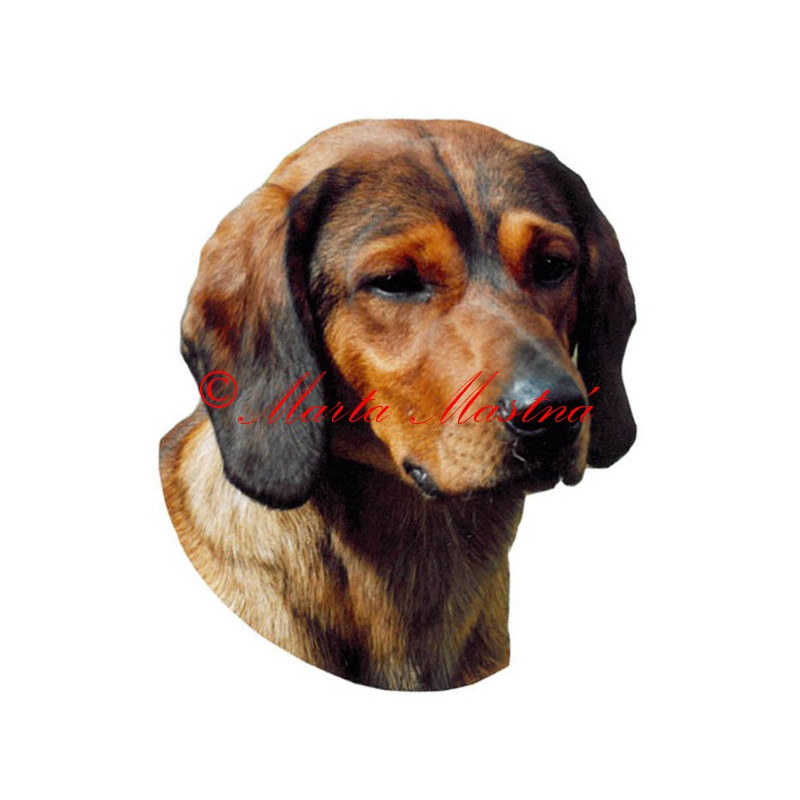 Samolepka braka, alpský jezevčíkovitý brakýř archiv