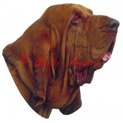 Samolepka bladhaund, bloodhound - archiv