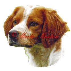 Samolepka bretaňský ohař archiv