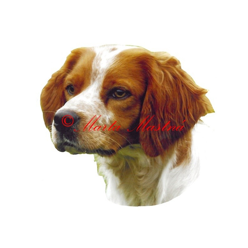 Samolepka bretaňský ohař archiv