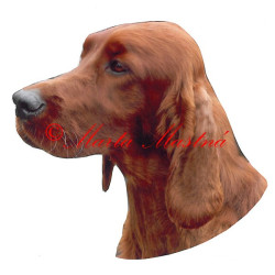 Samolepka irský setr archiv