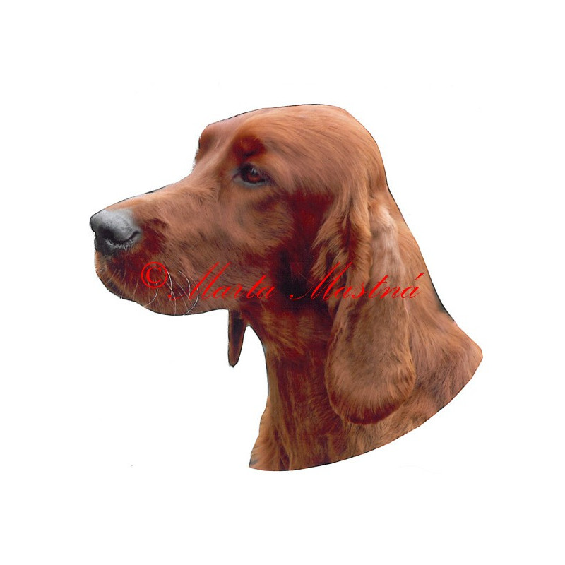 Samolepka irský setr archiv