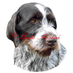 Samolepka český fousek, ohař archiv