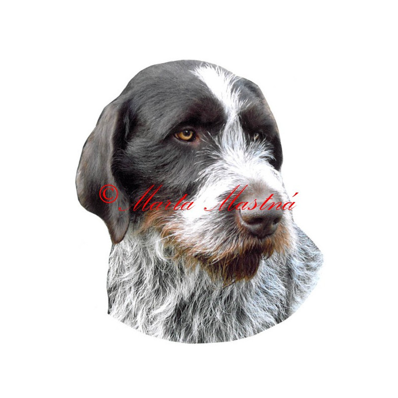 Samolepka český fousek, ohař archiv