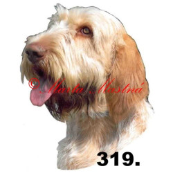 Samolepka italský spinone archiv