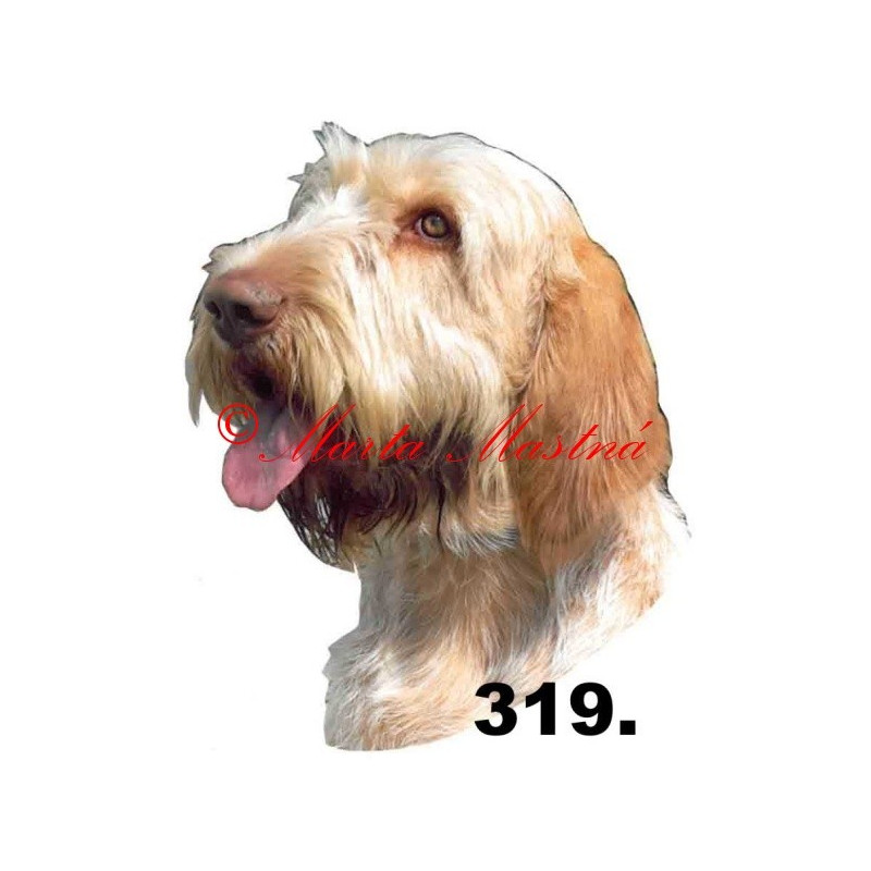 Samolepka italský spinone archiv