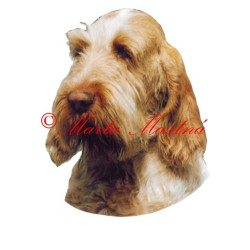 Samolepka italský spinone archiv