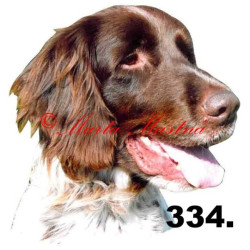 Samolepka německý ohař dlouhosrstý archiv