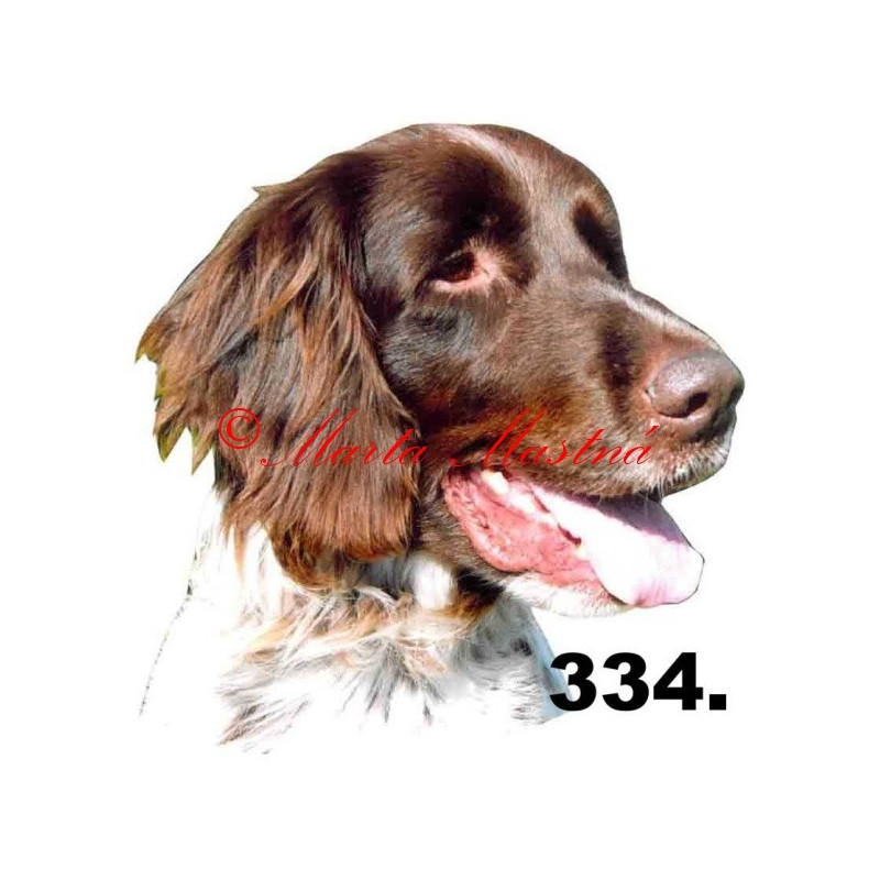 Samolepka německý ohař dlouhosrstý archiv