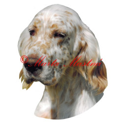 Samolepka anglický setr archiv