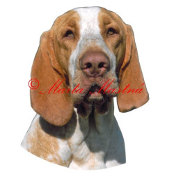 Samolepka italský ohař archiv