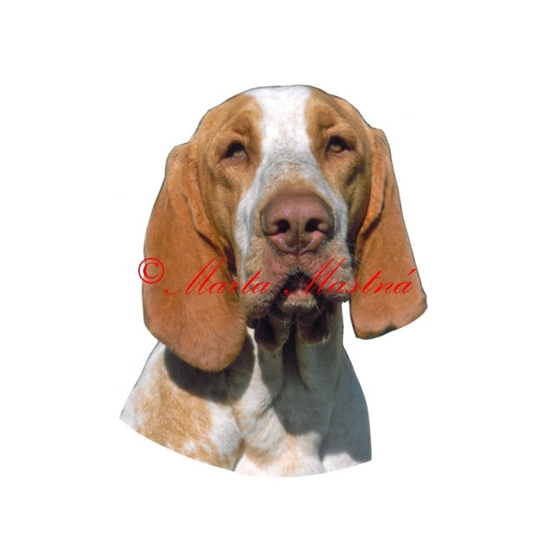 Samolepka italský ohař archiv