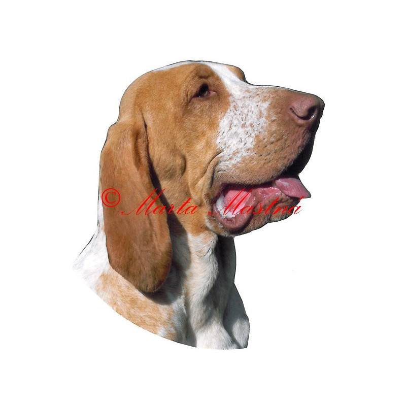 Samolepka italský ohař archiv