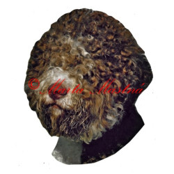 Samolepka lagotto romagnolo archiv
