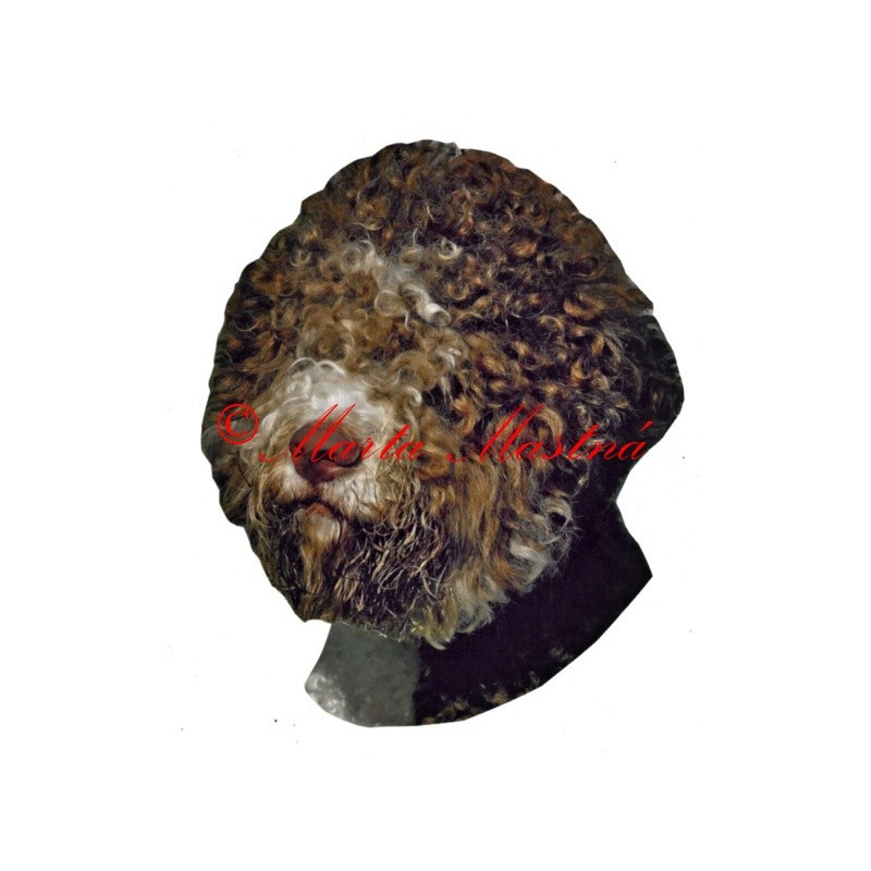 Samolepka lagotto romagnolo archiv