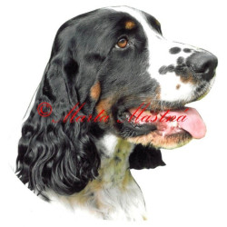 Samolepka špringršpaněl archiv