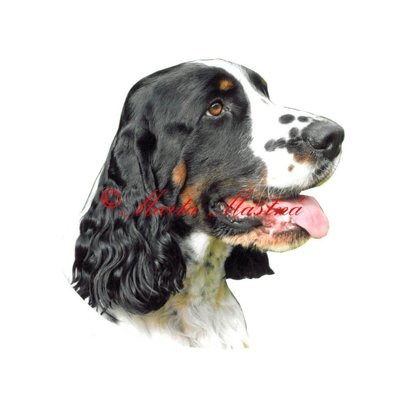 Samolepka špringršpaněl archiv