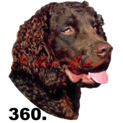 Samolepka americký vodní španěl archiv