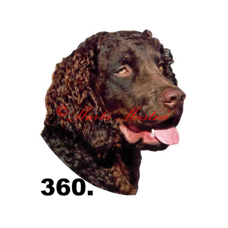 Samolepka americký vodní španěl archiv